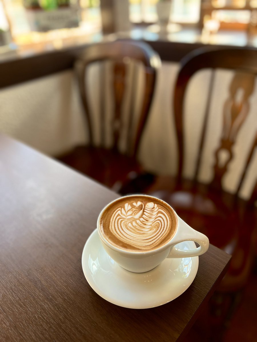 おはようございます！

金曜日は土日に向けて準備じゃい！
ボチボチ営業頑張りますか！🏃‍➡️

↓Slow wing tulip &amp;swan