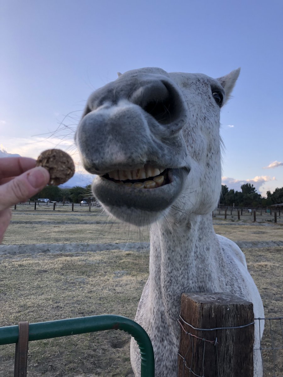 GloriousAllianc's tweet image. Surfer: Another please...
K: Coming right up!