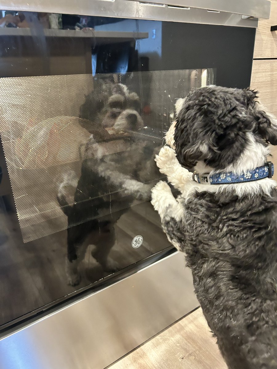 daimyozen's tweet image. happy thanksgiving everyone!