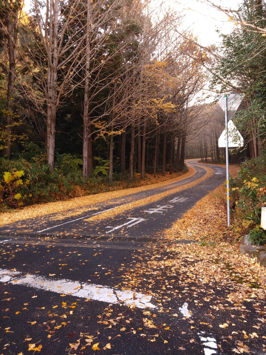 やっぱり夜歩くより 朝がいいなーーー