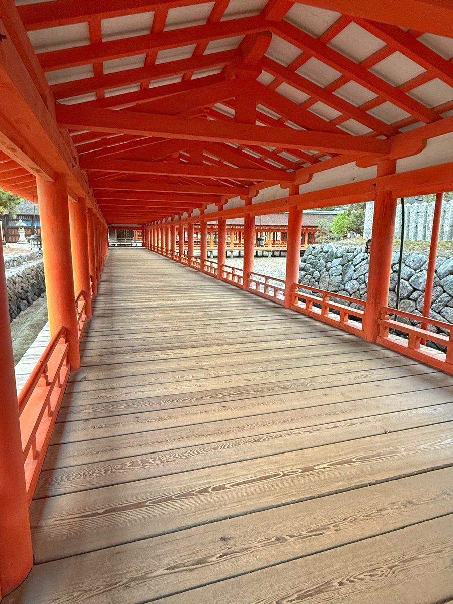 写活。 撮影地:広島県廿日市市宮島町