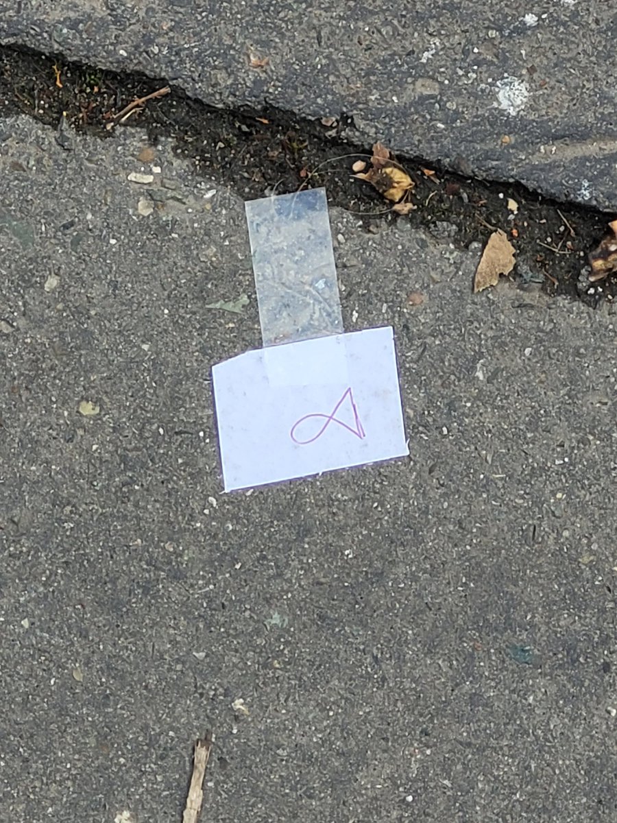 ToymaSam's tweet image. Today is supposed to be thanksgiving. Who is the mf who put that on me as if its the first of arpil.