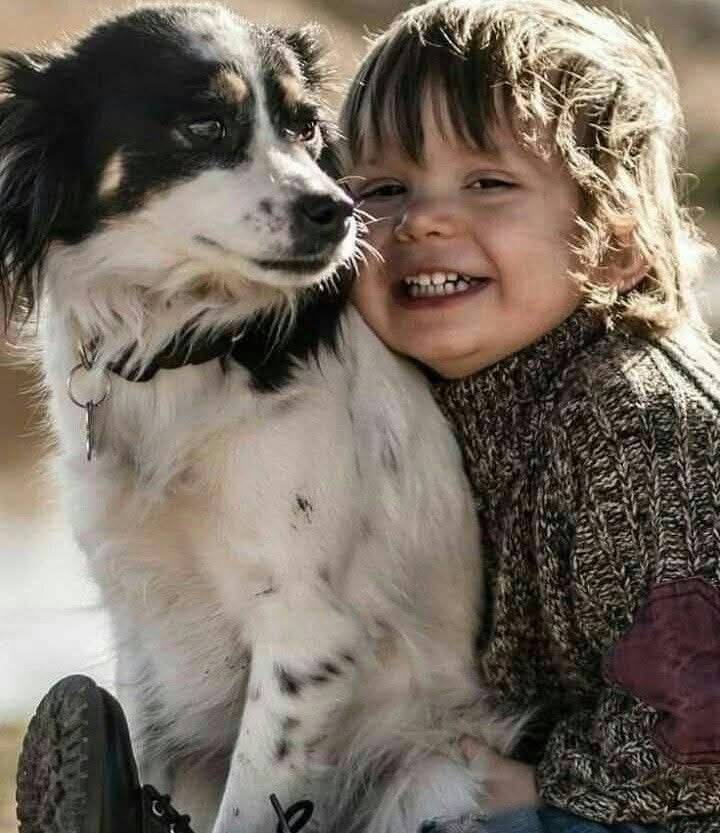 "O final, a felicidade e o amor se parecem. 
Não se tenta ser feliz,
não se decide amar.
É-se feliz, ama-se."

Mia Couto

Imagen de la red