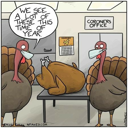 Turkey vs Chicken 
0 - 1 
#HappyThanksgiving2025