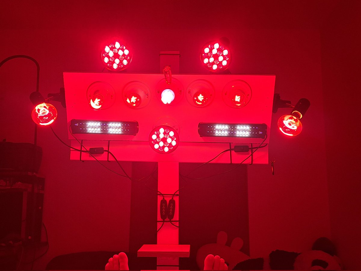 ButterBizcuits's tweet image. I&apos;ve almost got the circuit board complete. Built to modulate the specific diodes at certain frequencies of light and nm. I&apos;ll be building a new panel with it, all spectrums of UV to red to NIR and IR, combination of LED and incandescent. Been working on it for a year.