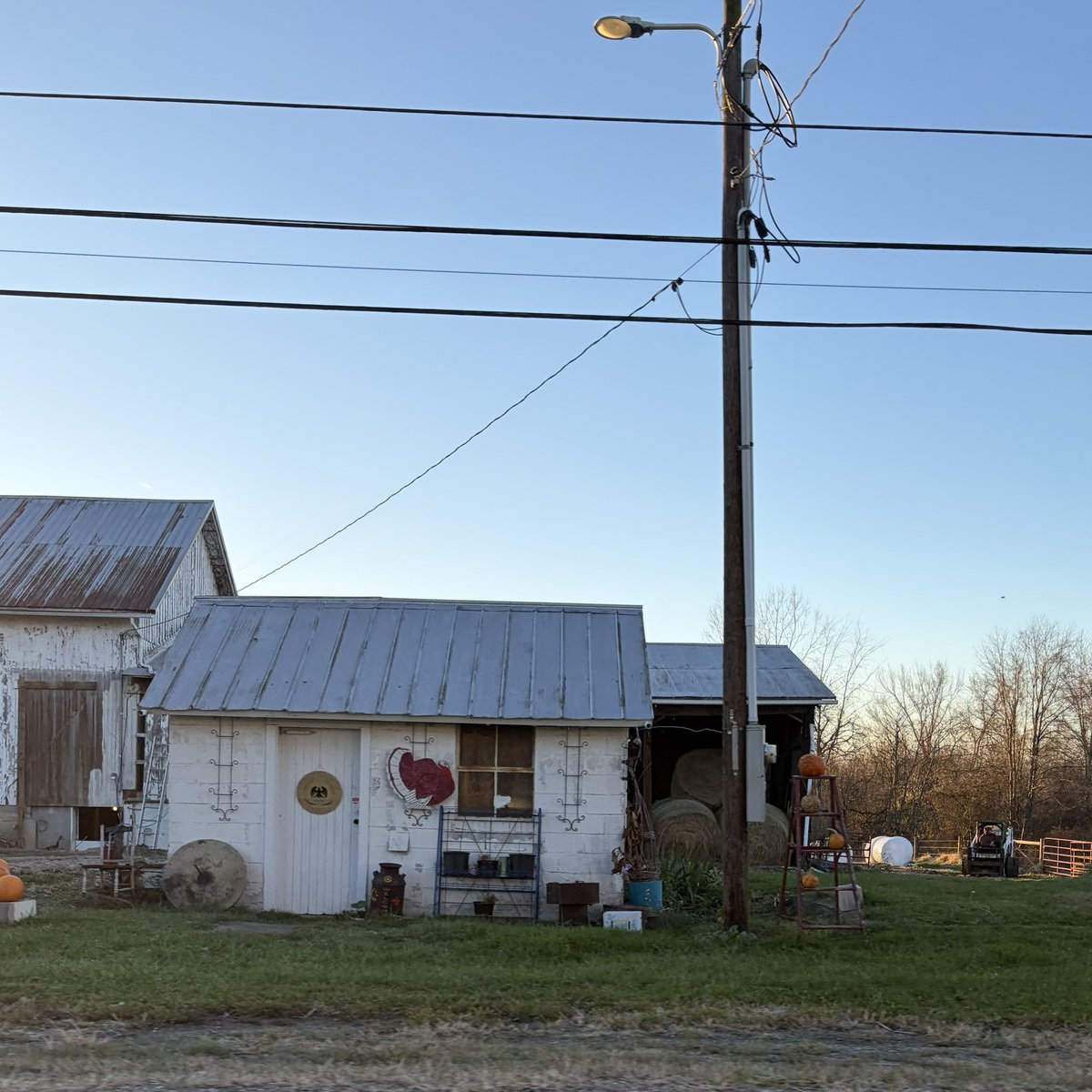 desolangels's tweet image. 