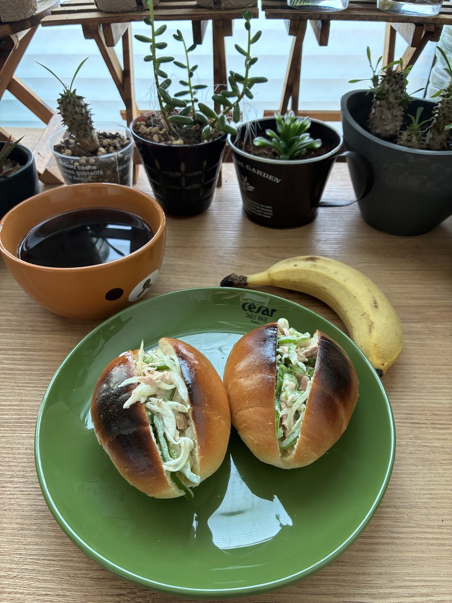 aya (@aya_aya_1129) / Posts / X