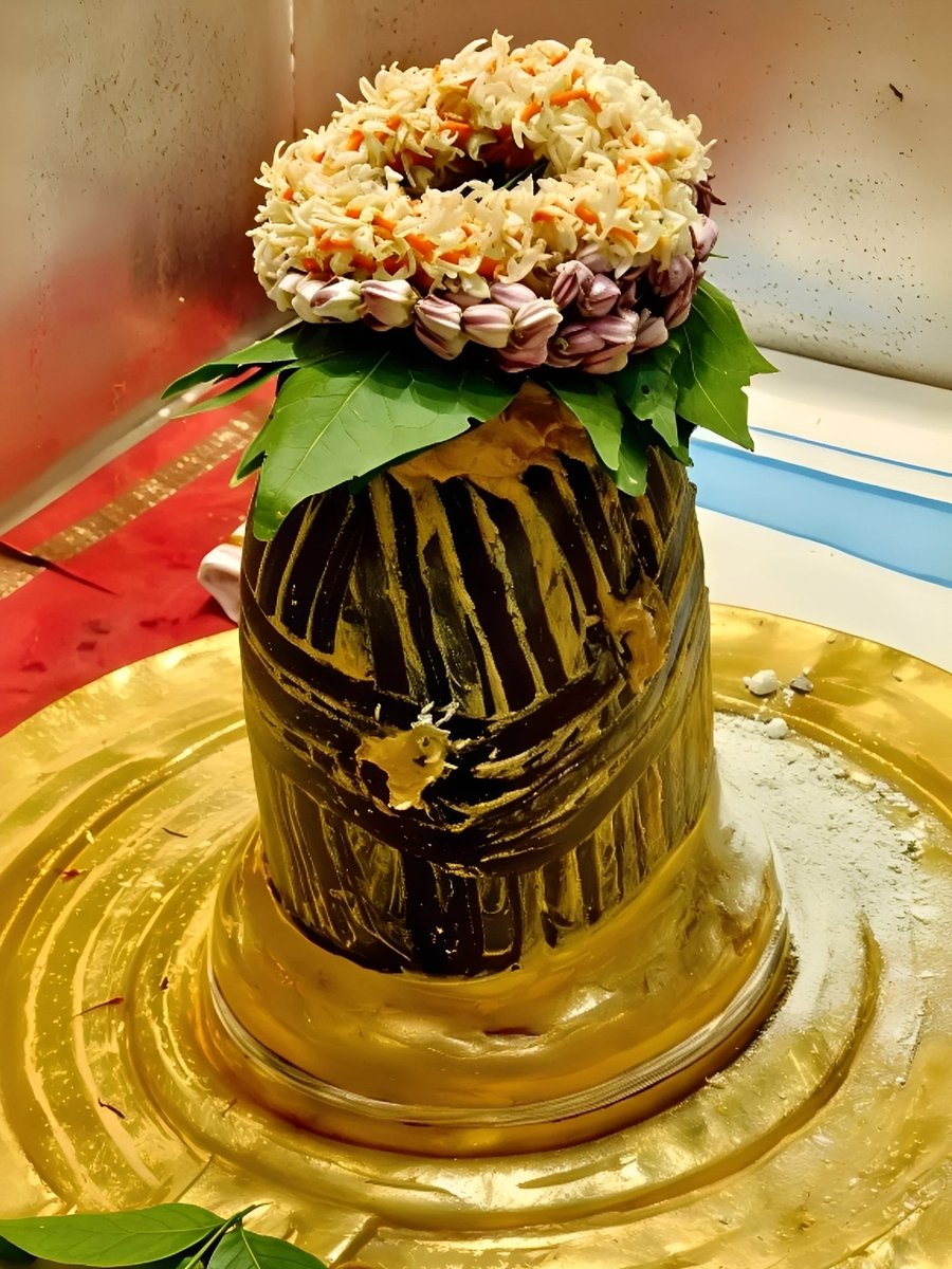 श्री काशी विश्वनाथ महादेव दिव्य दर्शन, हर हर महादेव।