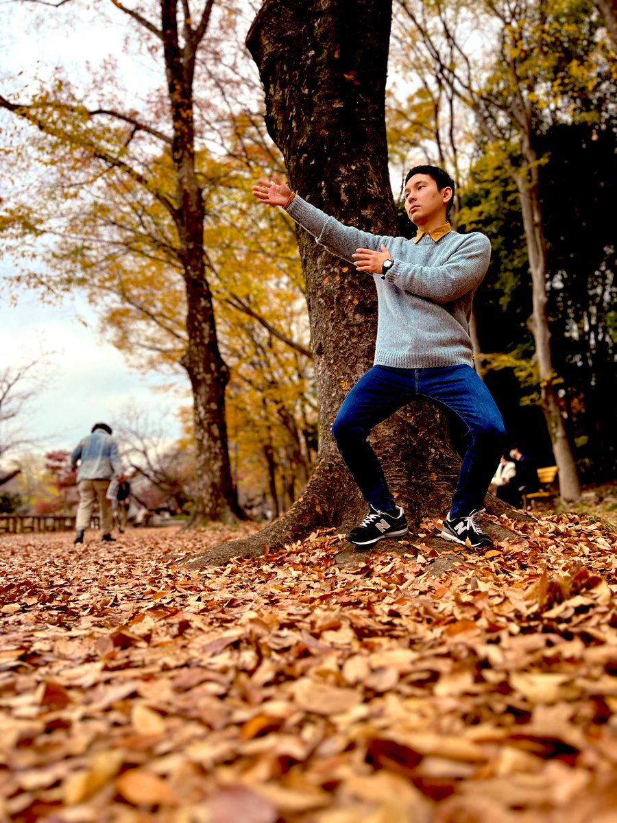 おはようございます🌞
朝もやみたいなのがふわっとかかって柔らかくて美しい朝。

もう少しで12月！信じられへん早さで日々が進む。時間に振り落とされないように、誰かに振り回されないように、ハンドルは自分で握っていこうな◎自分に嘘つかないように！

来週でソロはライブ納め🔥
今日もlet's go!