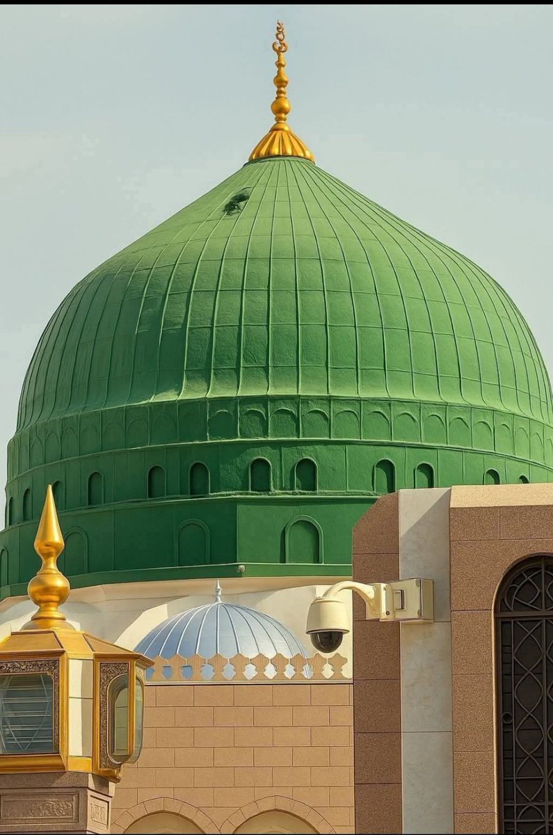السلام و علیکم ورحمتہ اللہ وبرکاتہ صبح بخیر 🌄🕋🌴🌹🌻🤲🇵🇰 
اسلام اے سبز گنبد کے مکیں 
اسلام اے رحمت اللعالمین 
صلی اللہ علیہ وآلہ وسلم پر لاکھوں کروڑوں درود سلام 
جمعہ مبارک 🌴🌴🌴