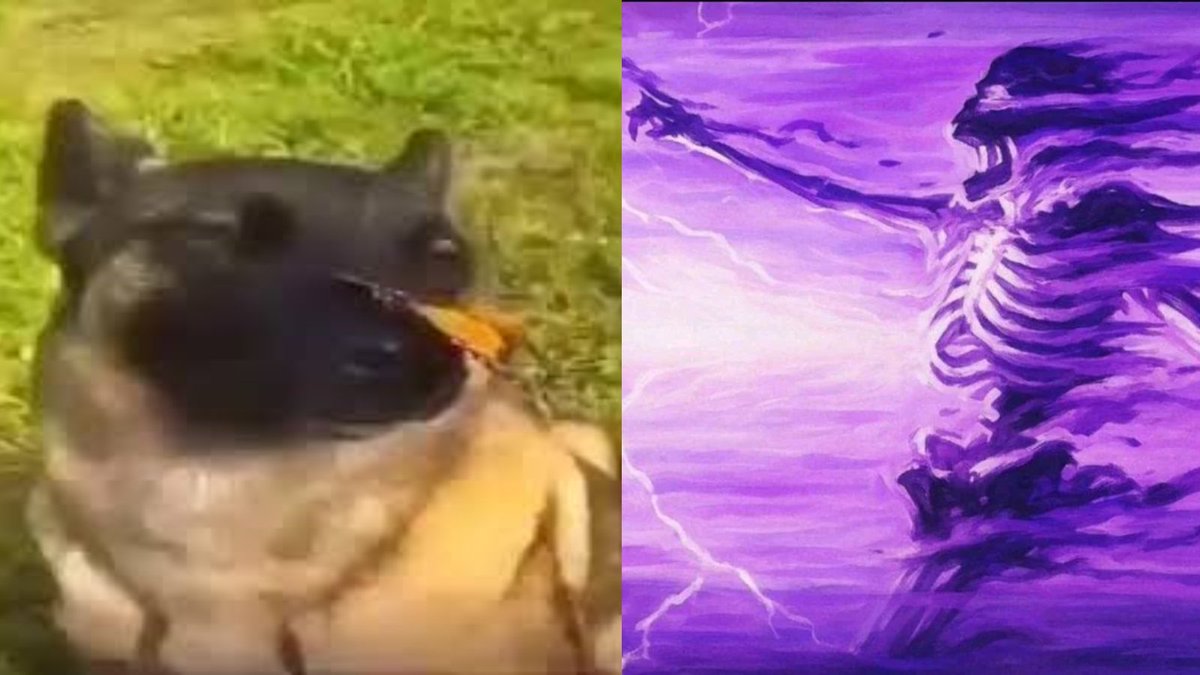 "No os desmadreis mucho"