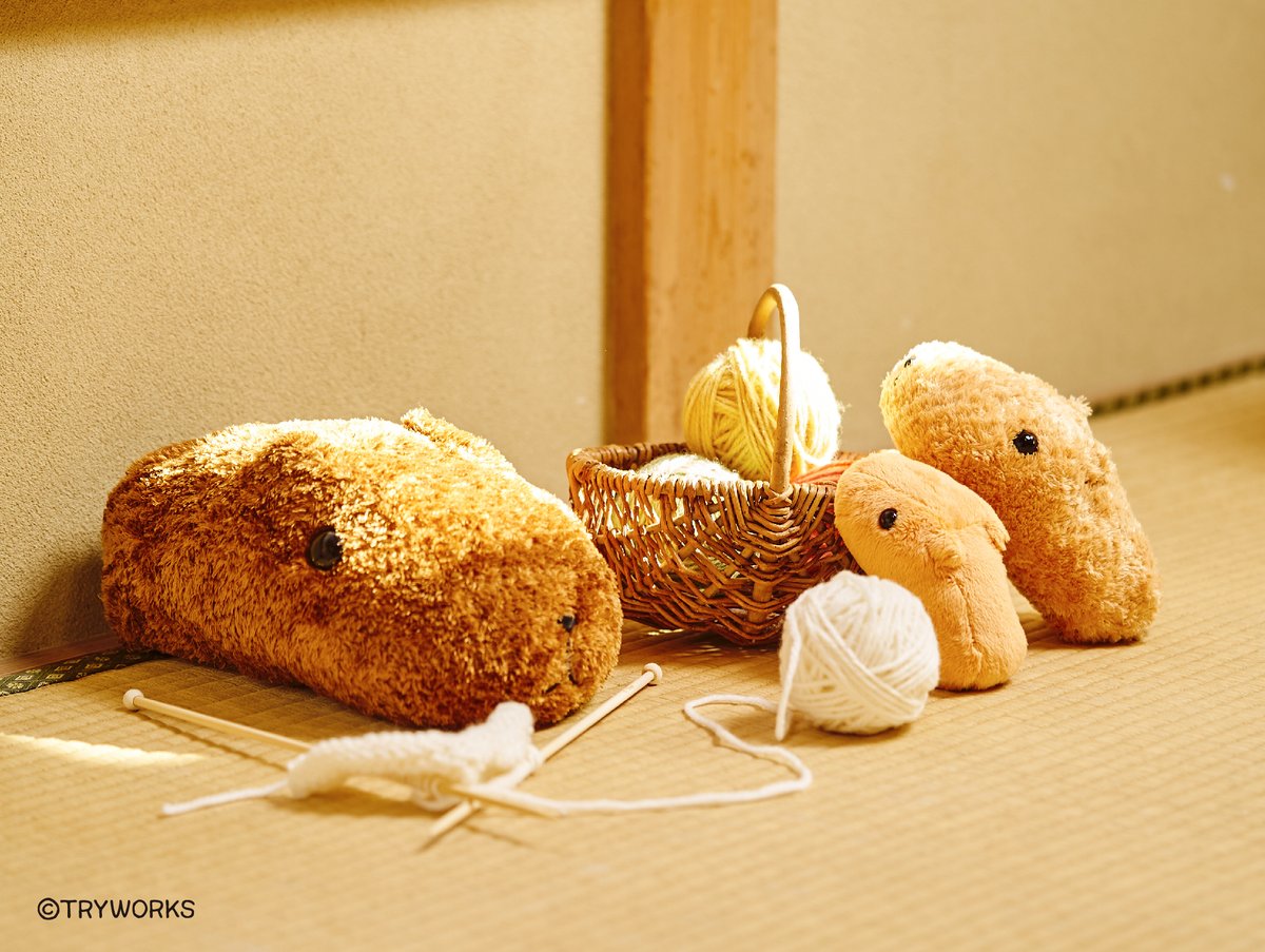 カピバラさん【公式】 (@FROM_TRYWORKS) / Posts / X