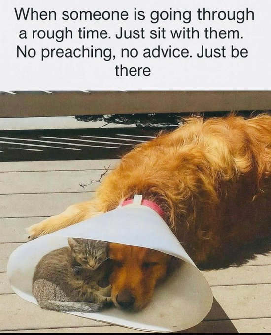 lisahsmithlhs's tweet image. 💞