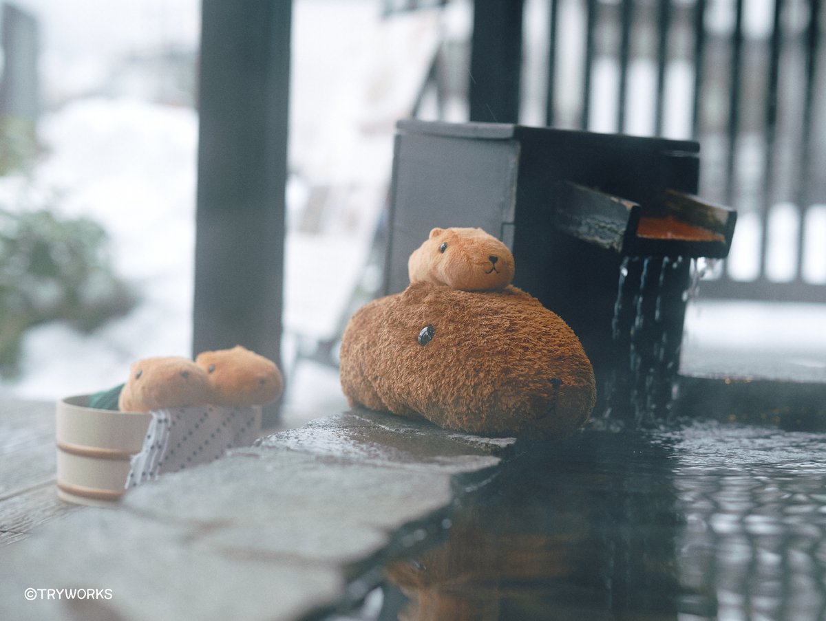 ⭐️カピバラさん⭐️ カピバラさん」誕生10周年記念「カピバラさん デザインアートフェス