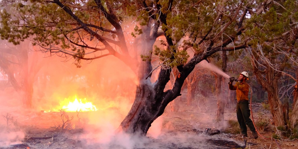 DOIWildlandFire's tweet photo. This Thanksgiving, we honor wildland firefighters who faced #FireYear2025 head-on—sacrificing time, comfort, and safety to protect our communities and natural treasures. Your skills, dedication, and hard work are extraordinary. 

Thank you for being true heroes in every sense of the word.  

#StrongerTogether #ItTakesAllofUs