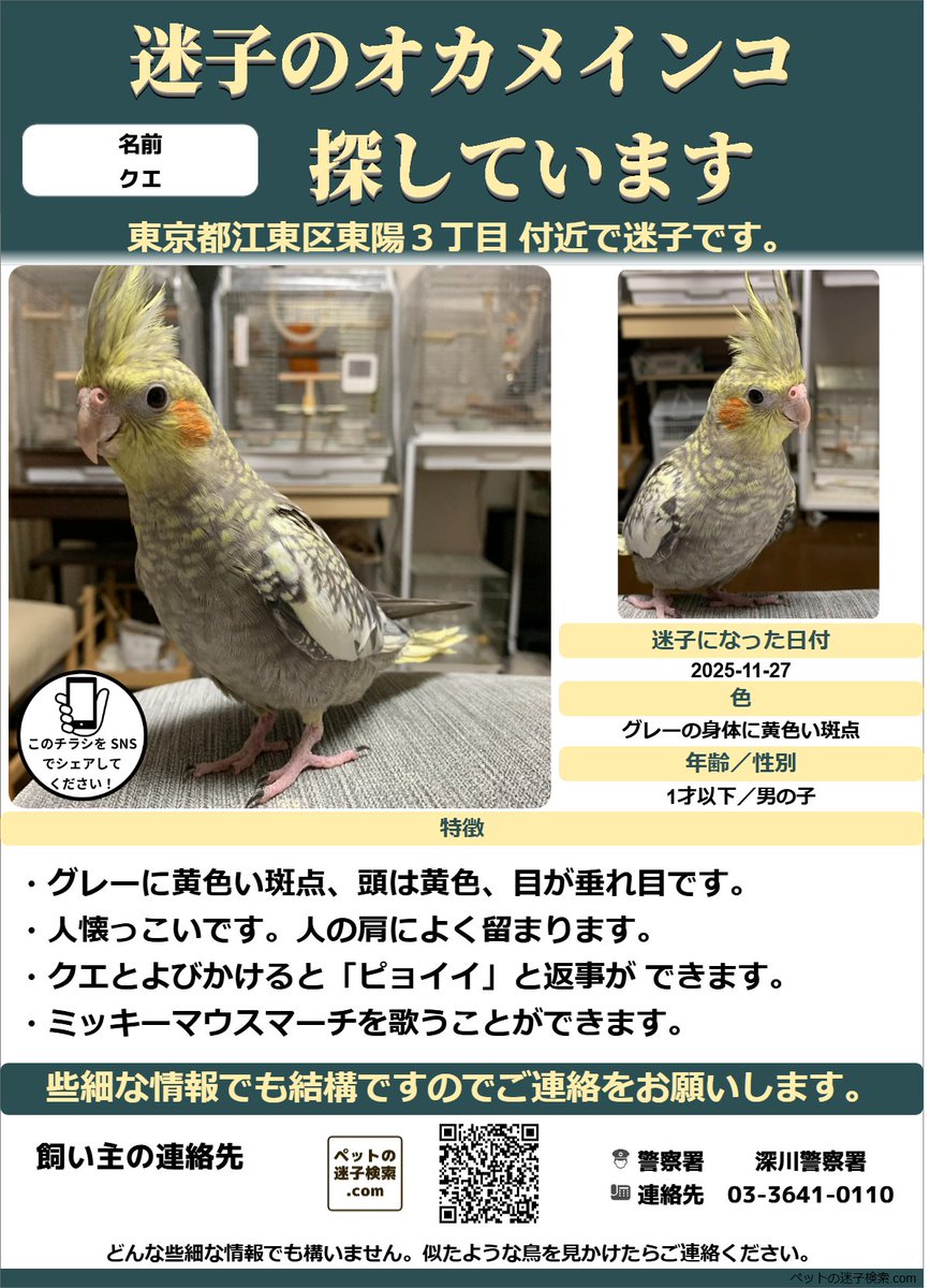 本家】ペットの迷子検索.com (@maigokensaku) / Posts / X