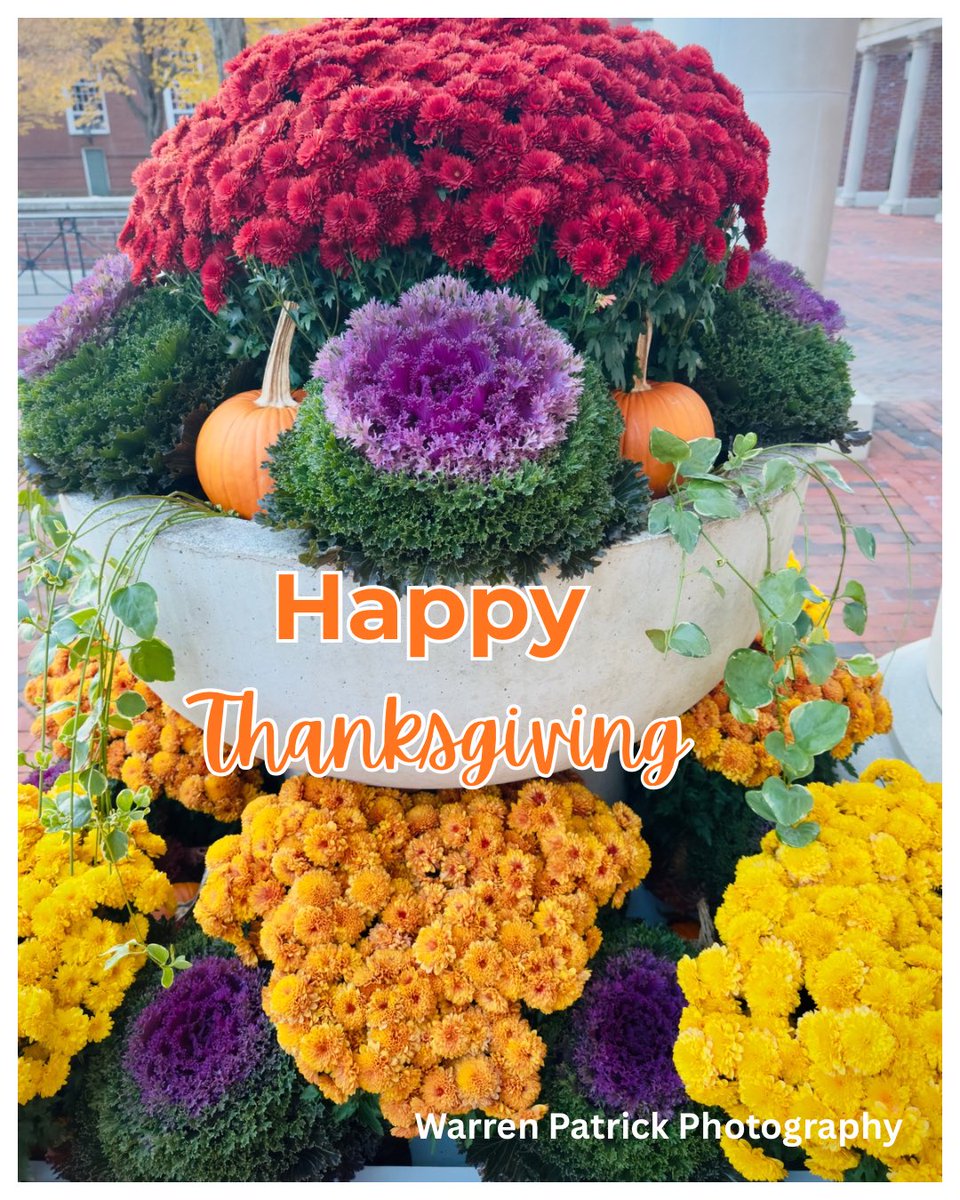 DocSTEM's tweet image. Happy Thanksgiving