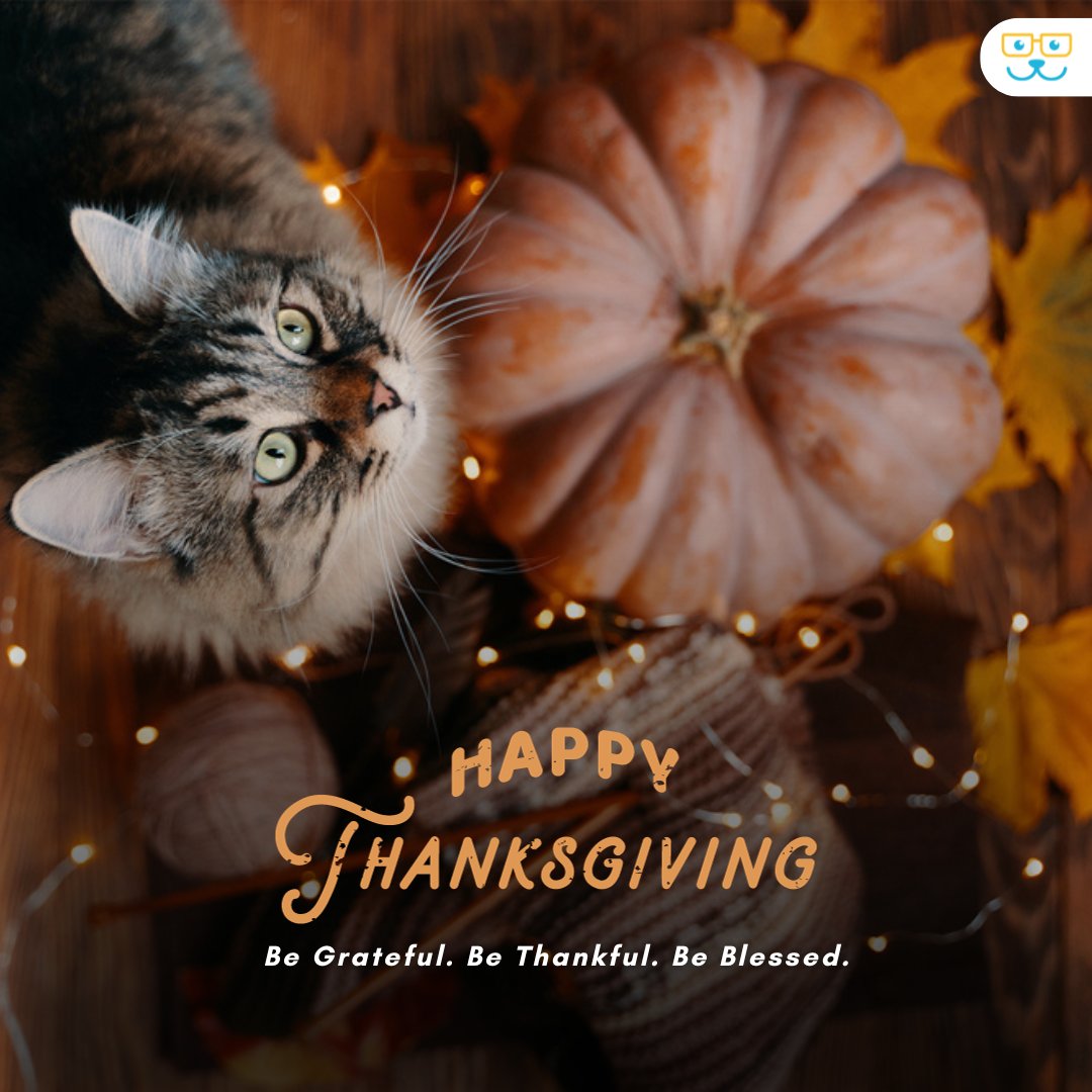 Point Vicente Animal Hospital tweet media