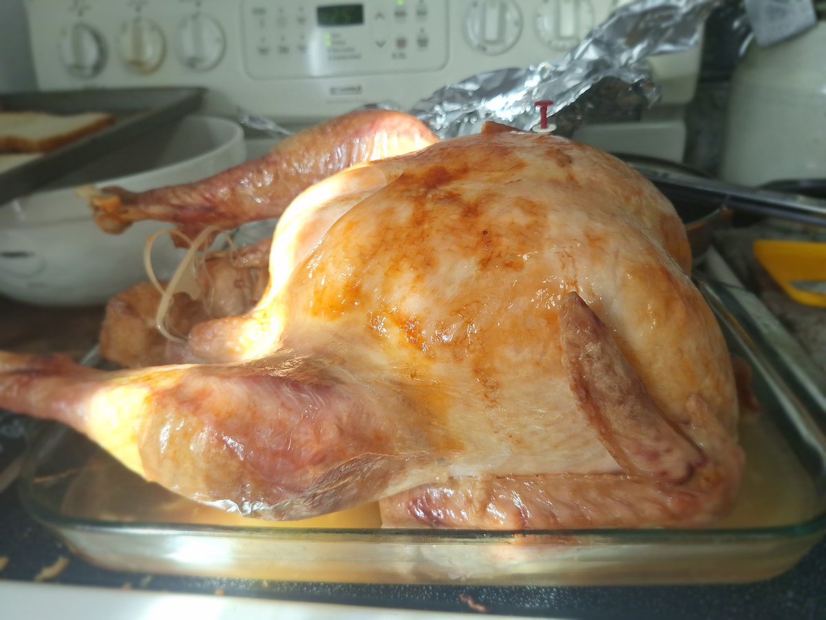 Happy Thanksgiving, folks.