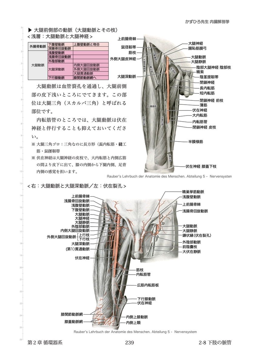 解剖学1・2・3 解剖学1・2・3
