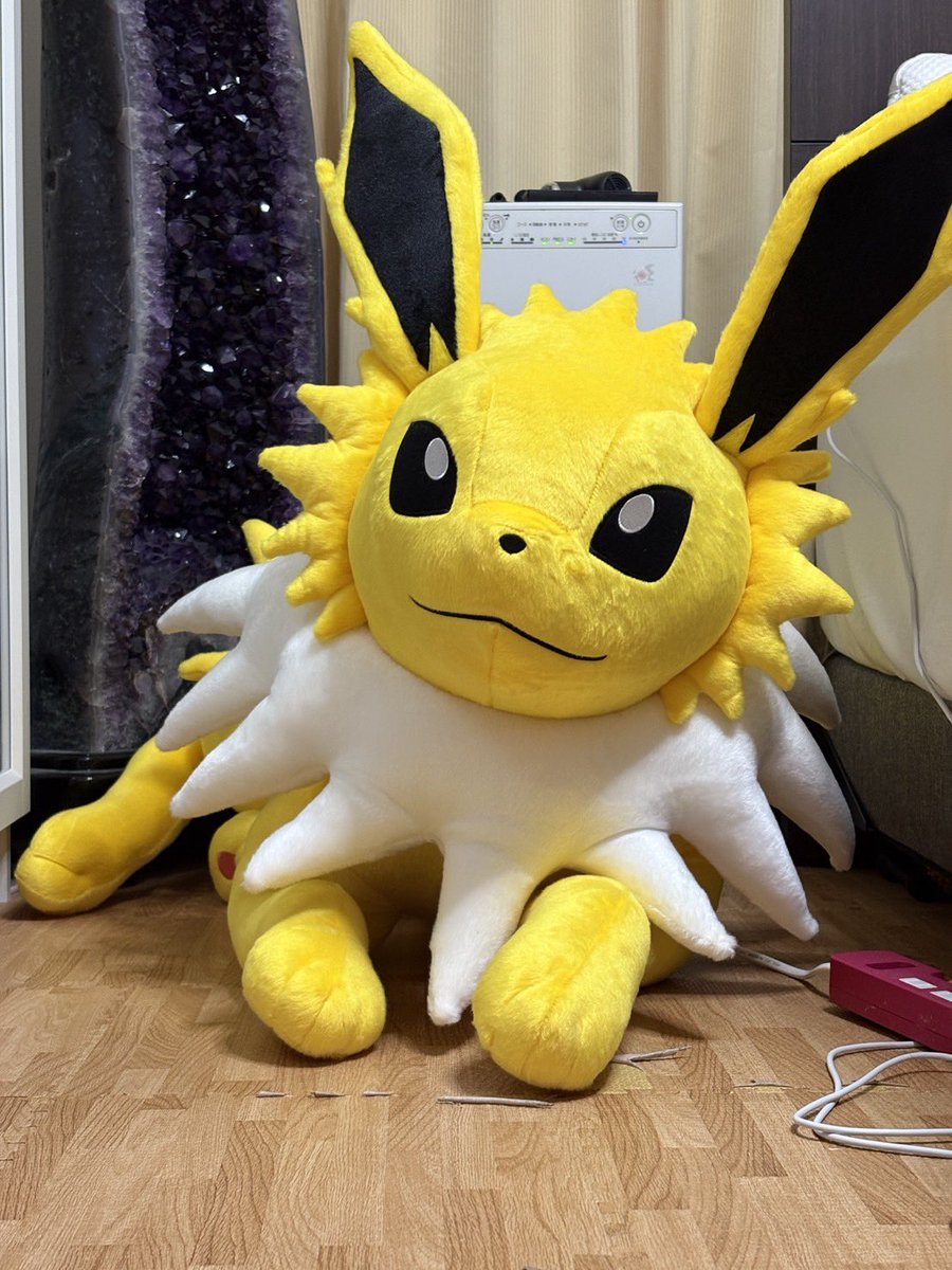 結構ぬいぐるみが好きで買うんだけど、嫁からプレゼントでもらった等身