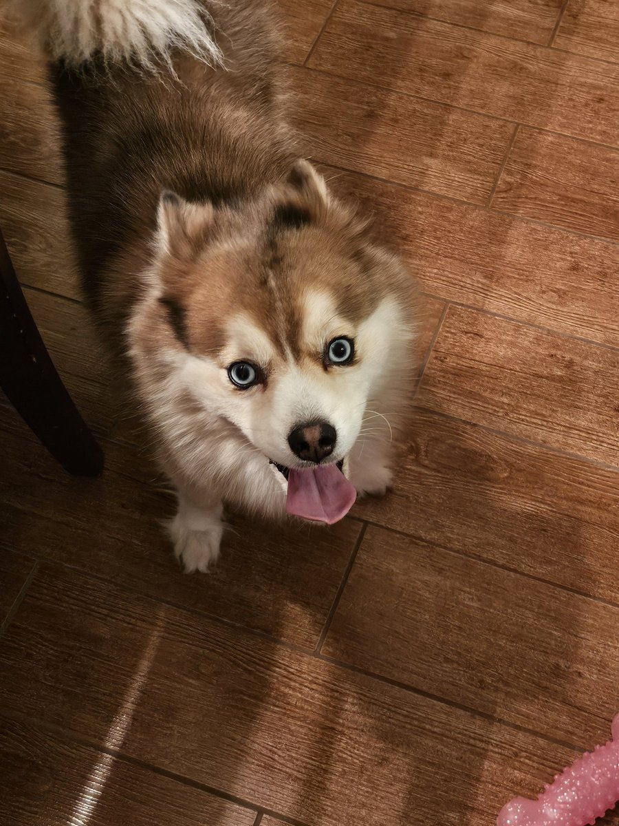 Happy thanks giving guys