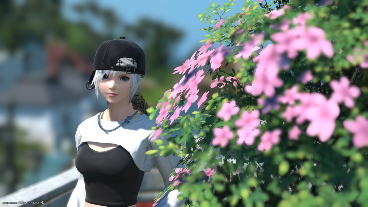Lhei_FF14's tweet image. おはようございます！
#FF14
#FCひだまりにゃんこ