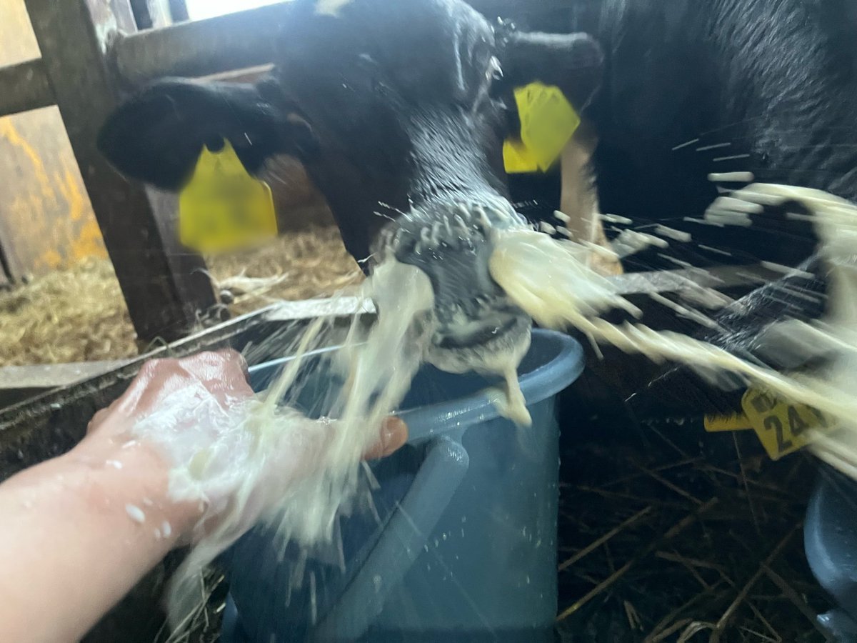 0__6__0__6__i's tweet image. フィギュアになったら
ちょっと欲しいwwwwww