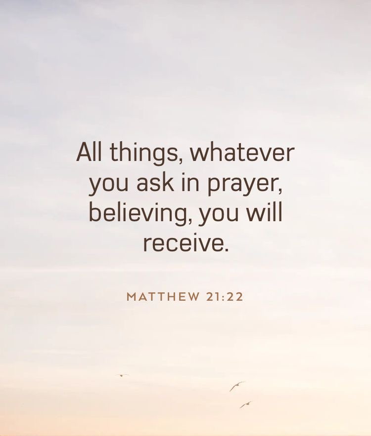 Holy Bible tweet media