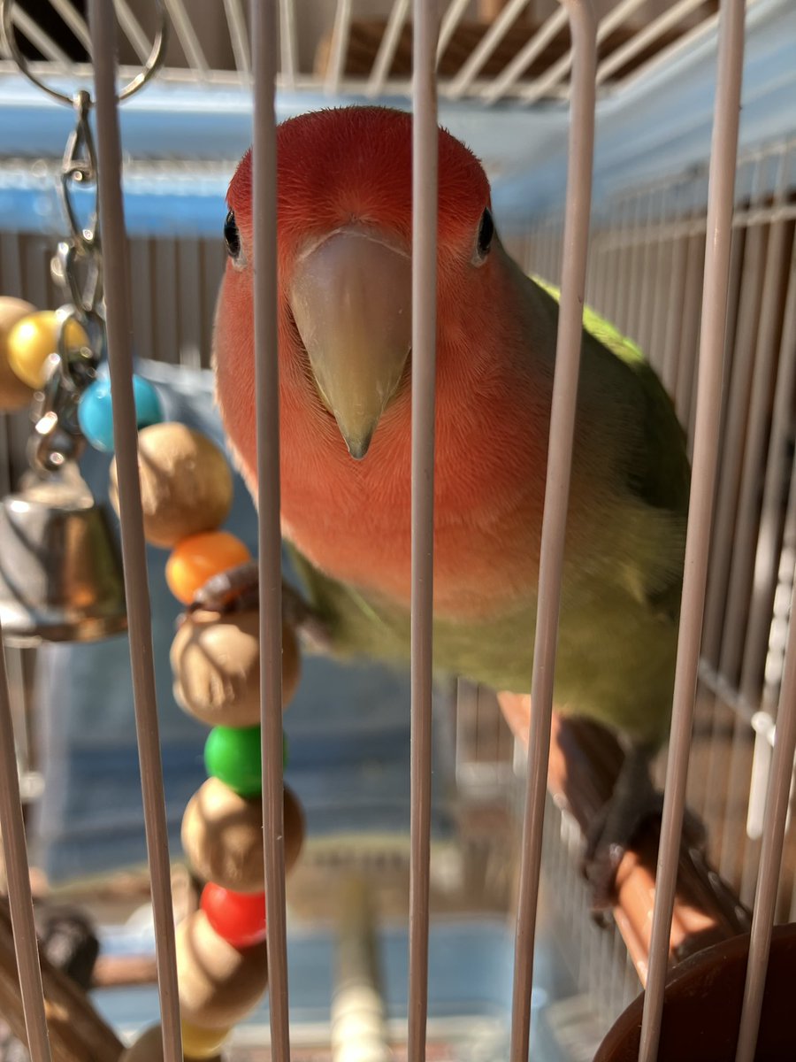 おはよー
糸ちゃん関係ないけど、みんな週末だよ！もう少し頑張るんだよ〜