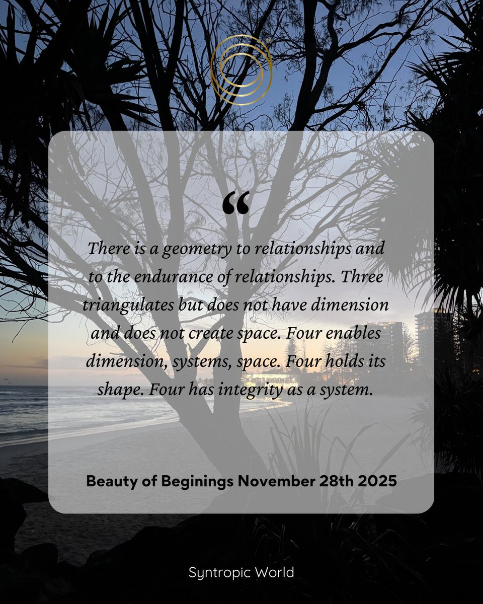 chrismcdougall8's tweet image. We assume people just come together and it either works or does not, when there is a structural design component to human enterprising. syntropic.world/creating-organ…