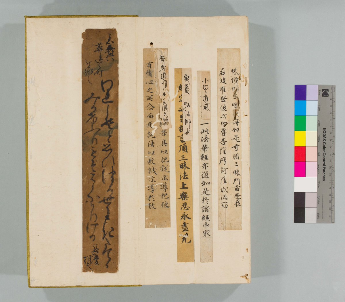 九大図書館の眺めて楽しい貴重資料画像。 本日ご紹介するのは、中央