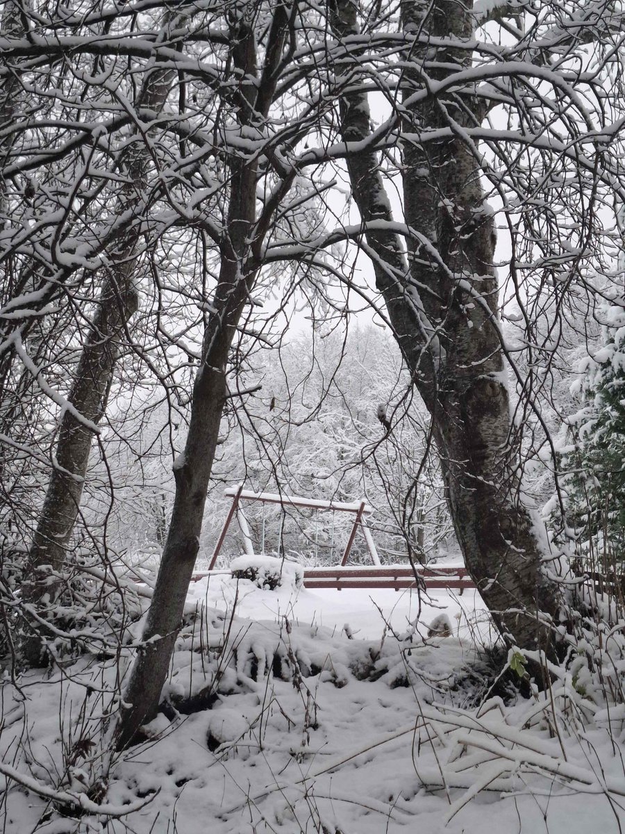 ⋆˚࿔ tweet media