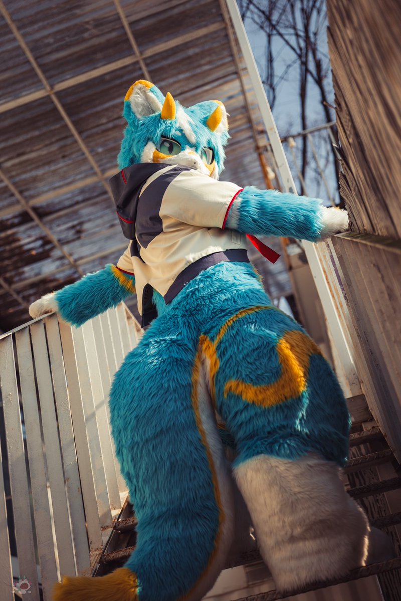 돌아보기

#FursuitFriday 

📸<a href="/nosnos8879/">한솔 / nos</a> 
💀<a href="/amliseu/">암리스_수상함</a>