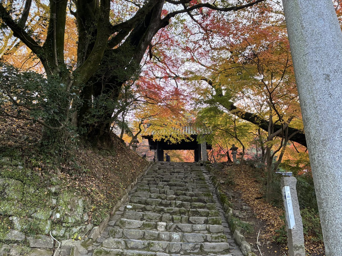 水彩画　ジクレー版画「秋月城跡 黒門の紅葉」（朝倉市） 水彩画ジクレー版画「秋月城跡 黒門の紅葉」（朝倉市）