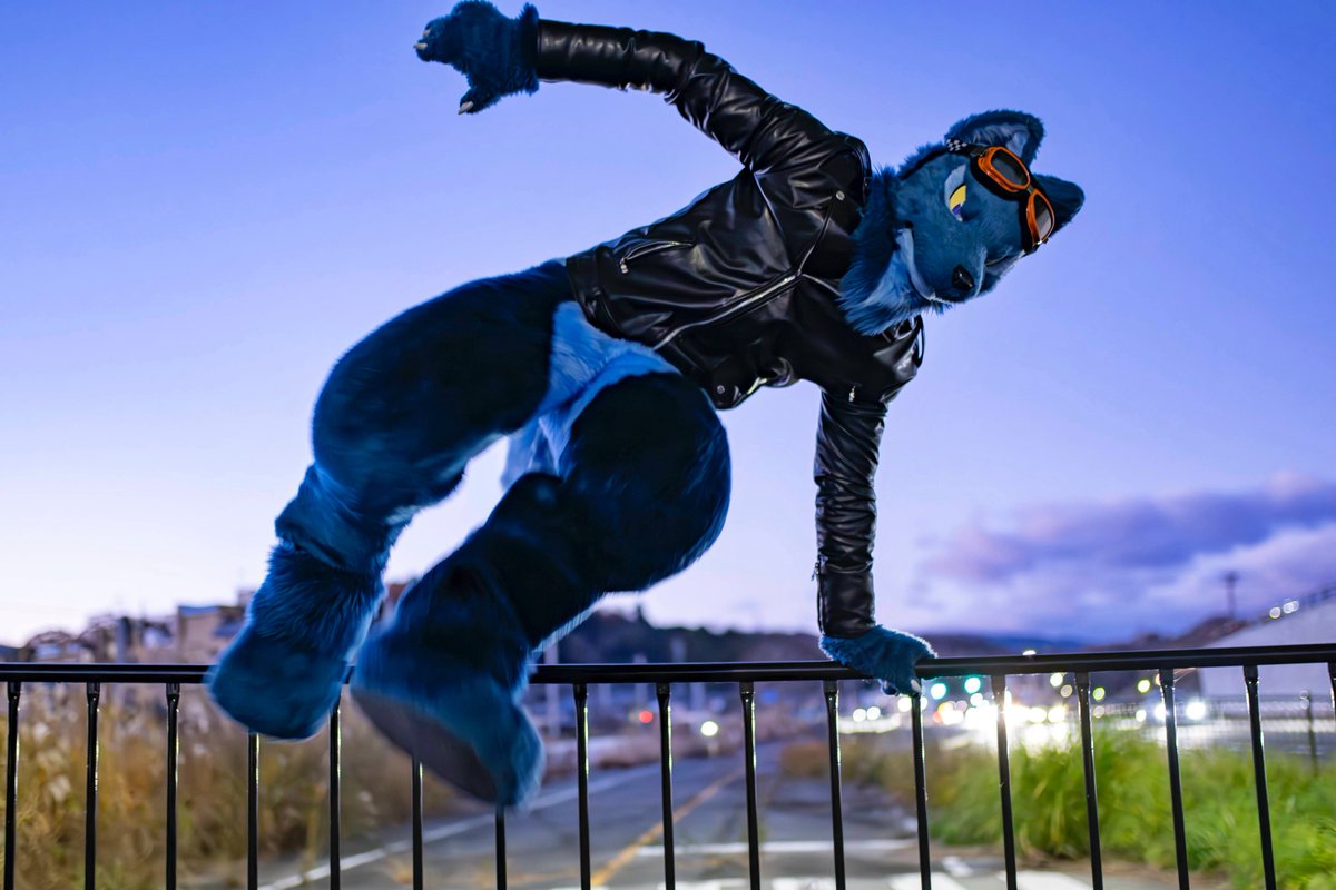 Jump over🐺

📸:<a href="/eps_ham/">ハム Ham</a> 

#こいと写真館 
#FursuitFriday