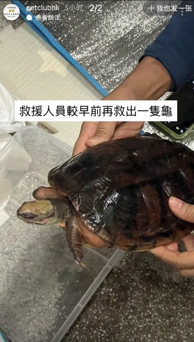 Salute to #HongKong's #firefighters! Their meticulous search and rescue efforts leave no life behind!
Praying for a smooth and successful rescue mission! 🙏