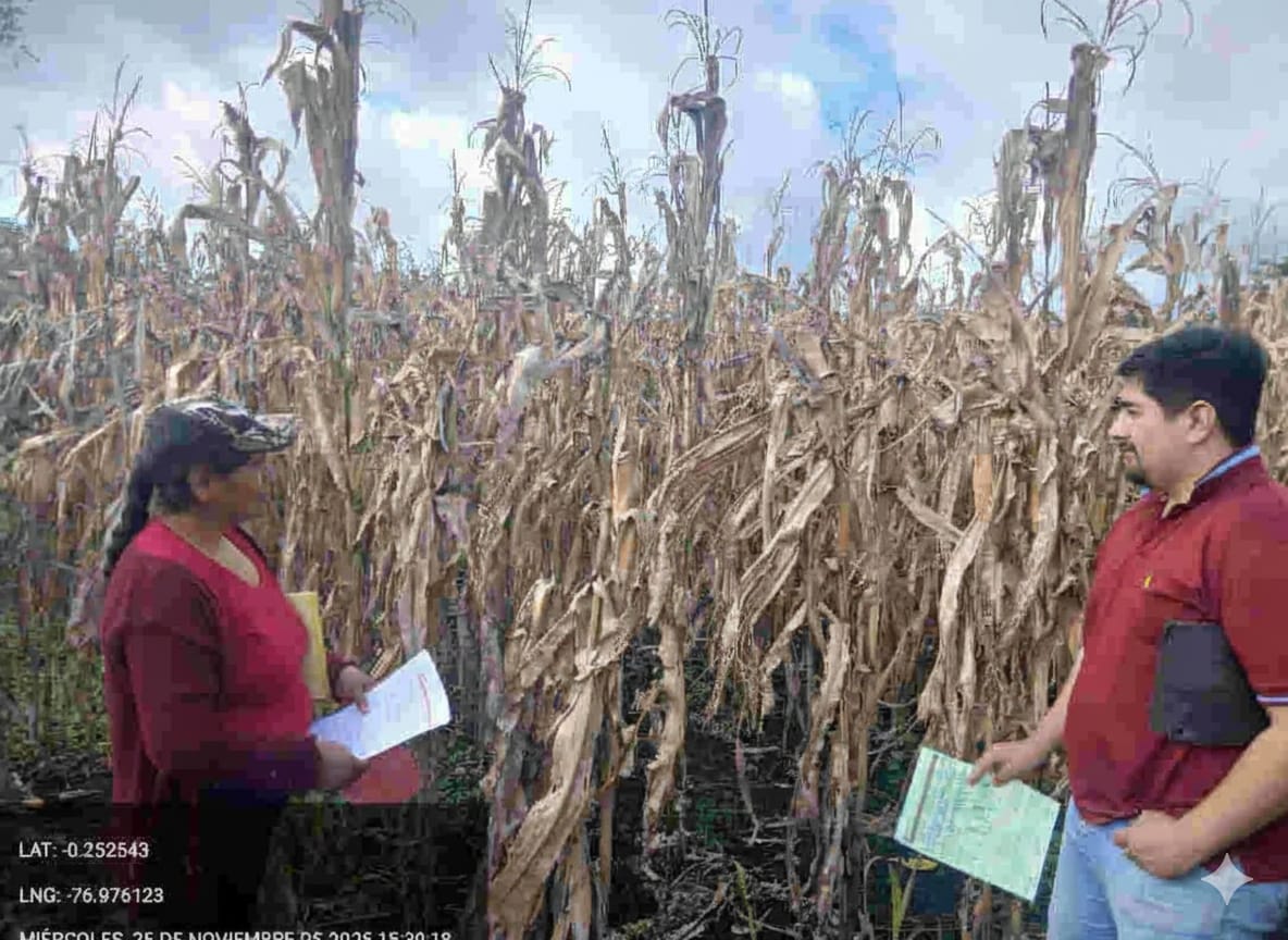Agricultura Coordinación Zona 2 tweet media