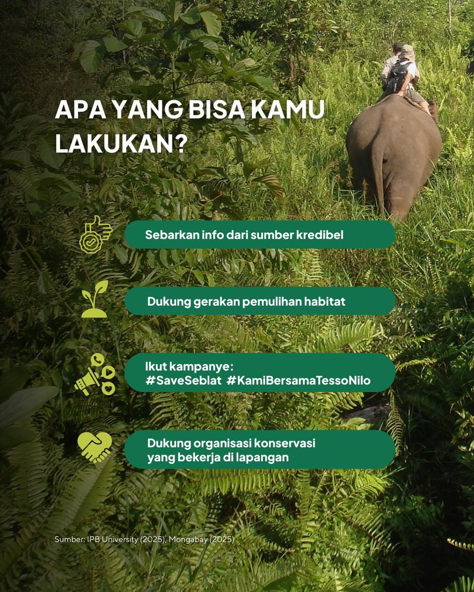 gitapanhar's tweet image. Bahkan malaikat pun minder dengan kerakusan kalian wahai manusia. #westandfortessonilo #savetessonilo