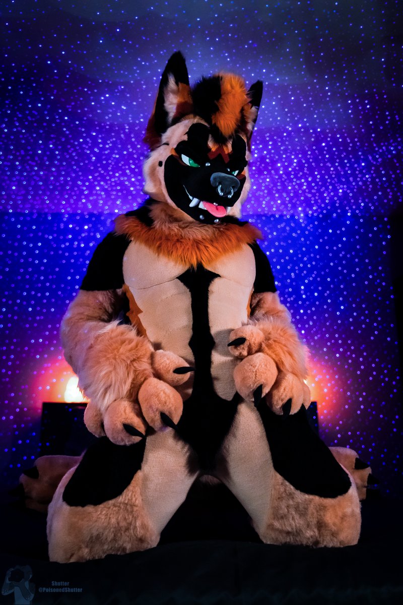 RykerTheShep's tweet image. Hey puppy.

Don&apos;t worry if you&apos;re not having the best holiday.

Your extra large Shep plushie just showed up and, by the looks of it, he really wants to cuddle!

My DMs are open. If you need a lil&apos; pick me up, let me know, I&apos;ll send ya a silly voice message. Love you pup! 💛