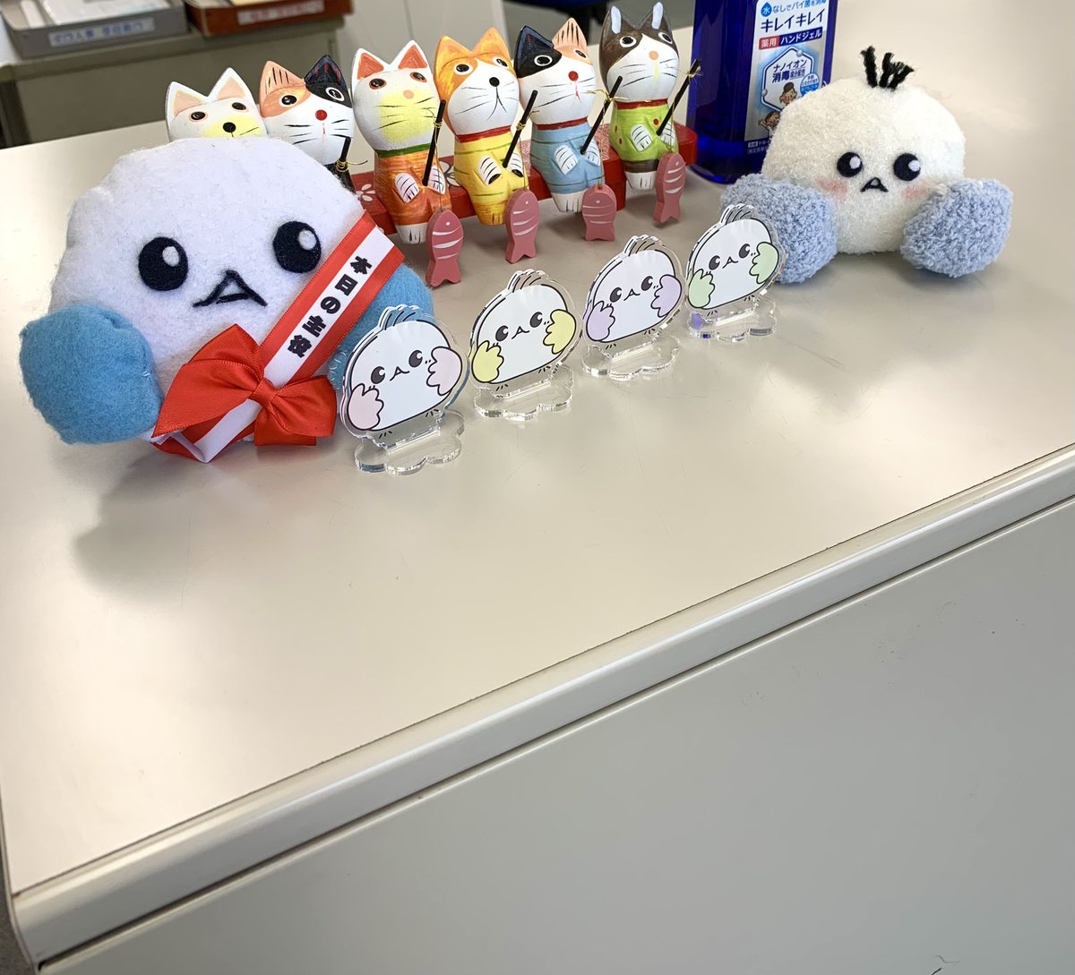 10時にシェシー(本日の主役)より皆さまにお知らせがあります🐥 ぜひ