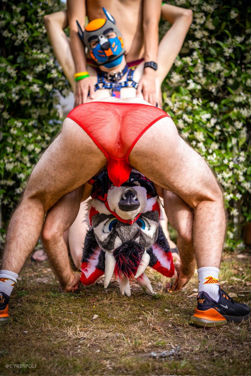 Shag Stag 🔞 🔜 Confuror, PAWcon, MFF tweet media