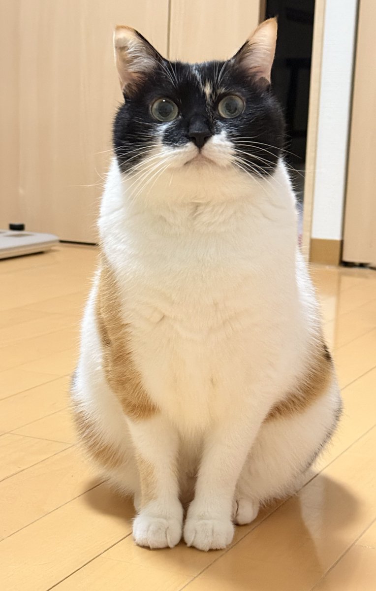 雷十太先生 (@asjSvnCZl18wKXM) / Posts / X