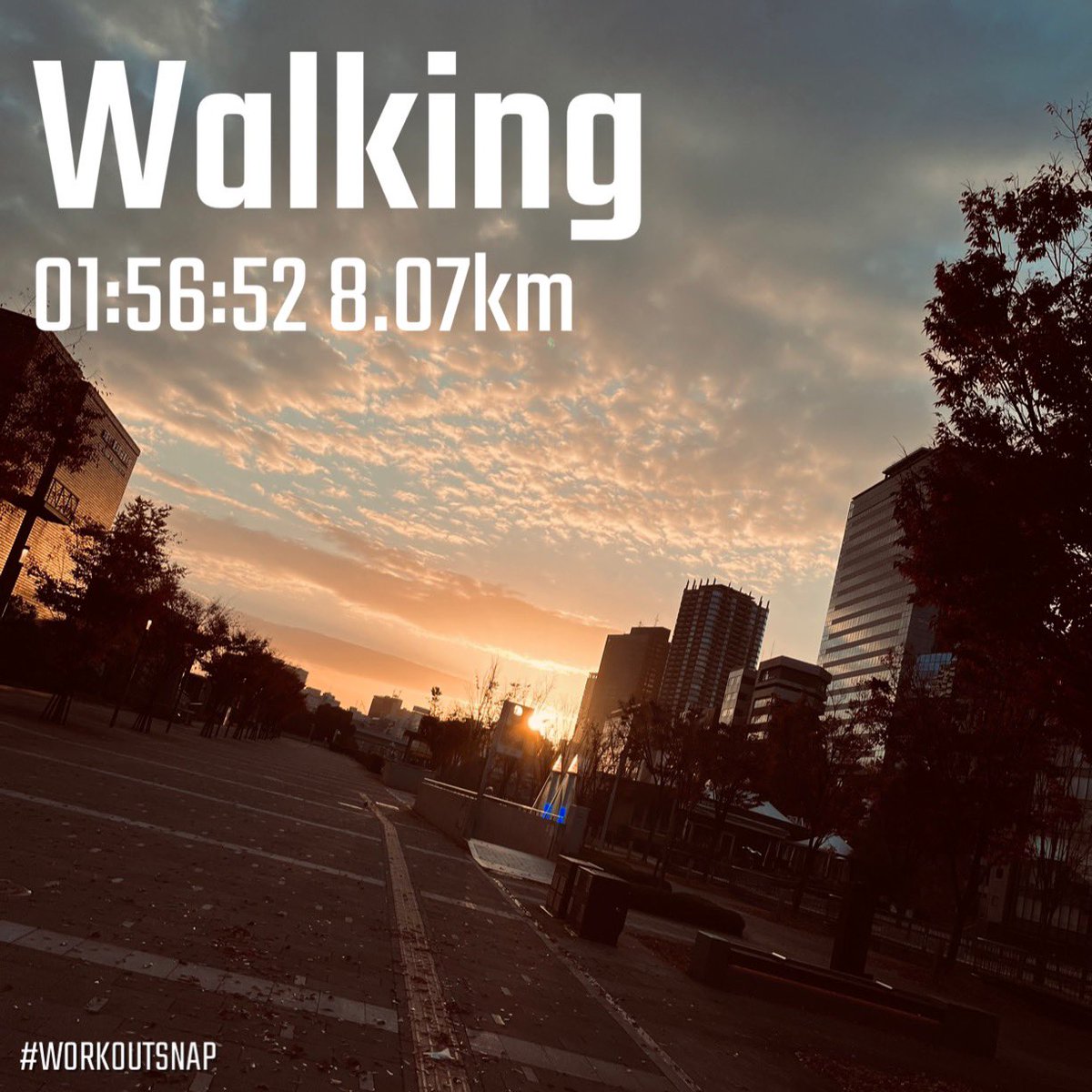 朝ウォーキング🚶☀️

ほろ苦い朝から始まる
うつろとは遠く
希望とはまた違う
こんな日々の先へ
辿り着く意志だけが
わたしたちを前へ
潔さの森

#ウォーキング
#朝活
#ポエム