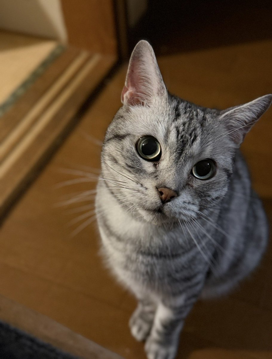 🍃🌷.*さいちゃん🌷.*🍃フォローしても外れてしまう不具合中です