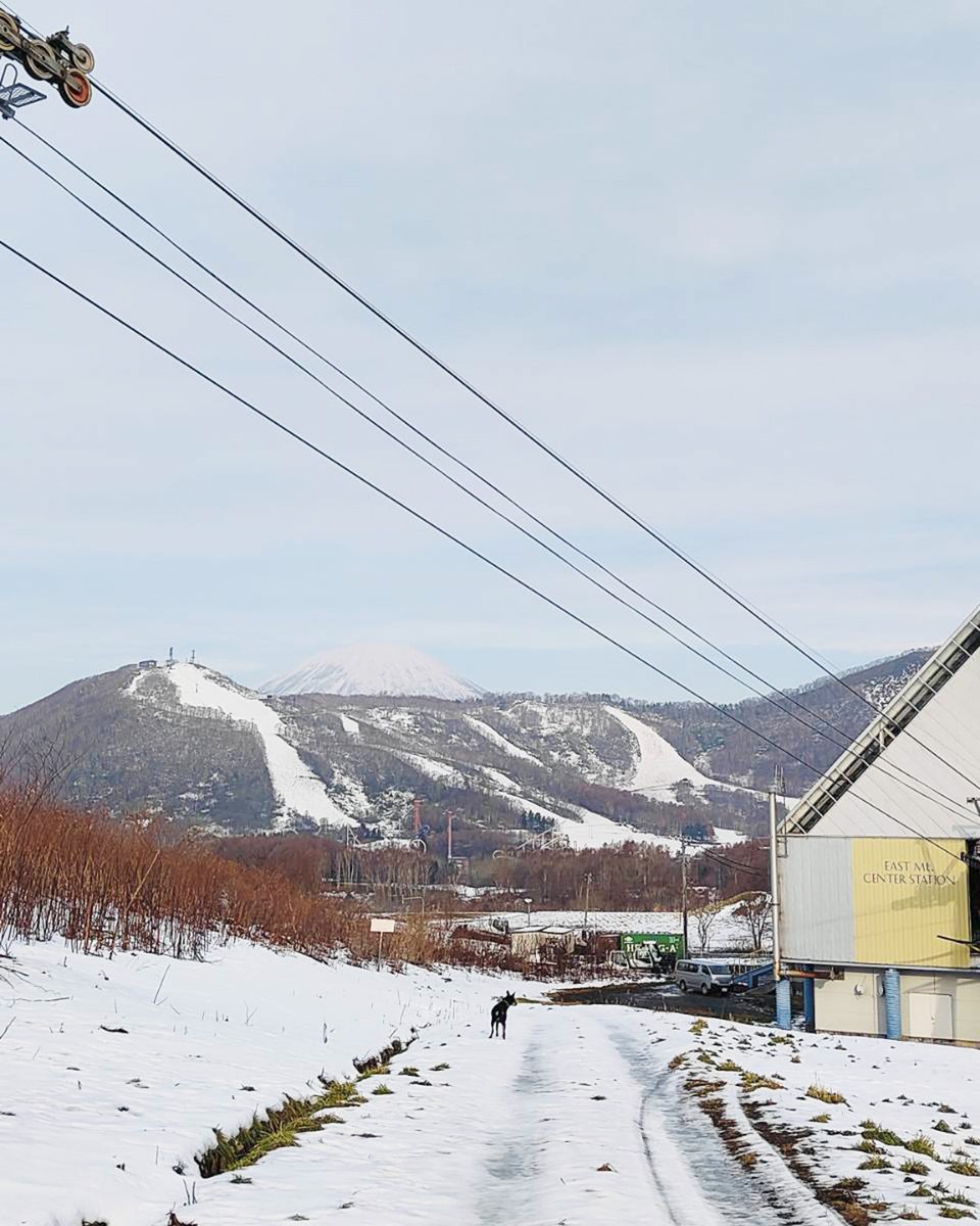 ❄️ゆき✈︎スキー8日目 (@yukiyuki2525) / Posts / X