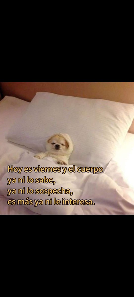 MagRosas1's tweet image. 