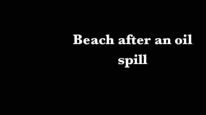 ilovethearts's tweet image. Thank you for standing up for the #environment and reminding @MarkJCarney that a #pipeline doesn’t help us deal with #ClimateChange.