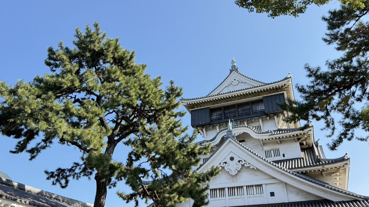おはSynQ✨
現在の福岡市は曇り☁️

昨日は北九州へ出張でした🚄
写真は小倉城🏯

空と紅葉のコントラストがとても綺麗で、季節を感じるひとときでした🍁✨

いよいよ11月ラストの金曜日！
今日もどうぞよろしくお願いいたします😊

#企業公式が朝の挨拶を言い合う