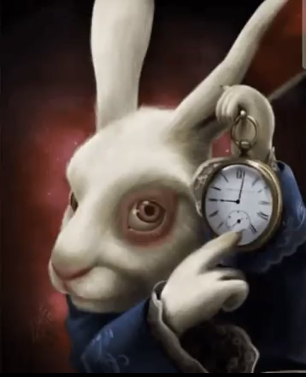 Time to make a tough decision <a href="/nap16/">Steven Napolillo</a> this fan base and alumni deserve a hell of a lot better